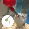 Beavorty Small Water Dispenser for Hamsters and Rabbits view 4
