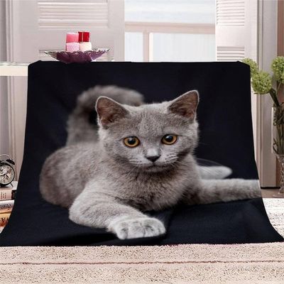 Children’s Cozy Blanket 100 x 150 cm, Soft Plush Animal Blanket