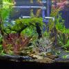 Angoily 5-Piece Artificial Coral Tree view 4