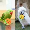 Oikabio Budgie Toys, Small Chew Toys for Parrots, Cage Foraging Toys, Hanging Toys, Bird Swing and Ladder view 4