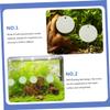 Angoily 2-Pack Betta Mirror view 2