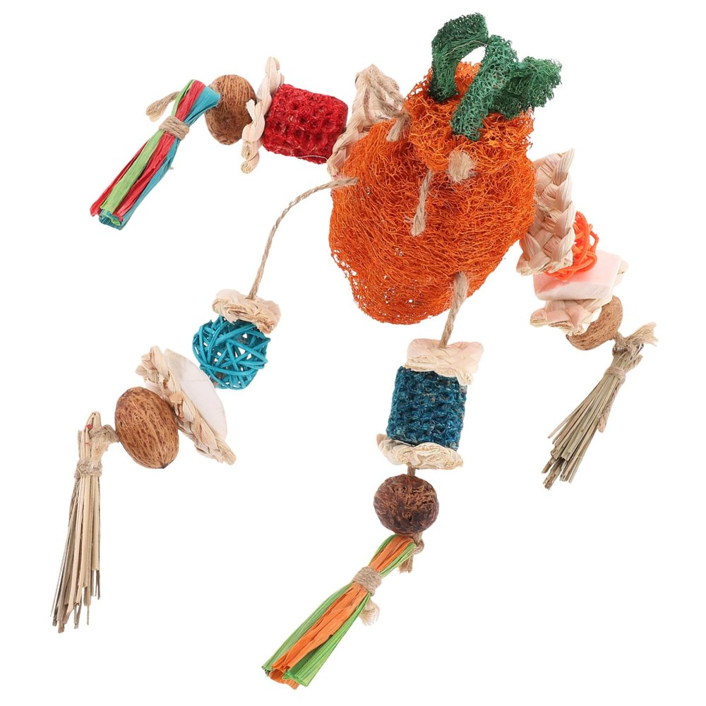 Angoily Parrot Chew Toy