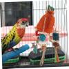 Angoily Parrot Chew Toy view 3