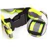 Beavorty Adjustable Reflective Dog Harness with Breathable Green view 3