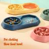 Non-Slip Multifunctional Cat Food Bowl for Wet Food and Water view 4