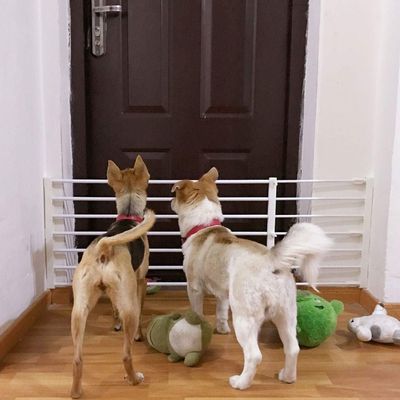 ArinkO Retractable Safety Gate for Pets and Children, Adjustable Length 75–130 cm, Height 42 cm