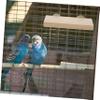 minkissy 3-Piece Natural Perch Platform for Parrots view 2