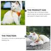 Beavorty 3-Piece Reflective Dog Vest Harness Set for Small Pets view 3
