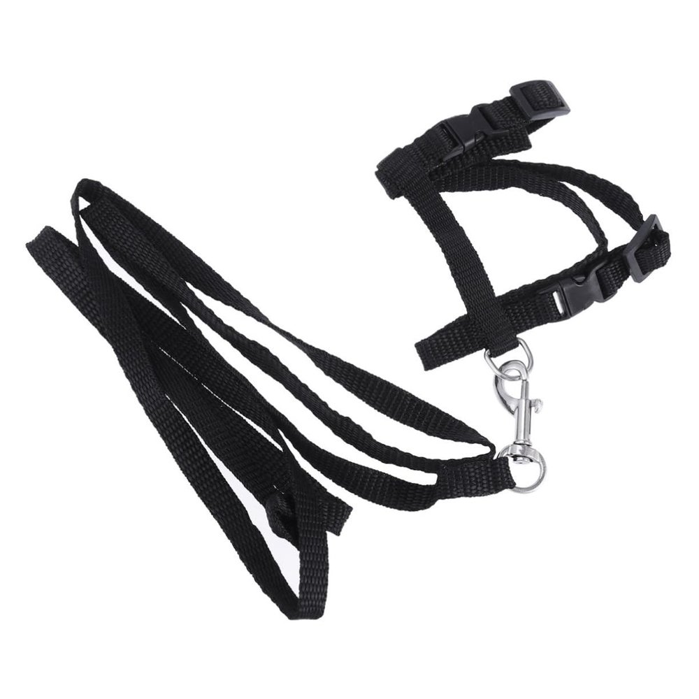 Beavorty Adjustable Nylon Cat Harness with Leash - Black