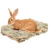 DOITOOL Rabbit Grass Mat for Small Pets view 3