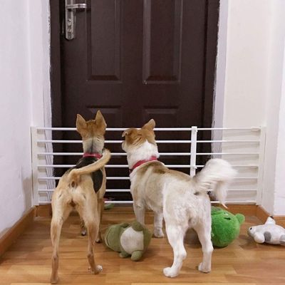 ArinkO Retractable Safety Gate for Small Pets and Stairs, Adjustable 75–130 cm, 42 cm High