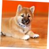 AOKWAWALIY Rhinestone Pet Collar for Puppies and Kittens view 2