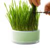 KERALI Cat Grass Planter view 3
