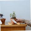 DOITOOL 10-Piece Simulated Turtle Aquarium Decorations view 4