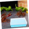 Angoily Shrimp Incubation Tool 72 Holes view 2