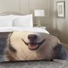 Siberian Husky 3-Piece Bedding Set, Queen, 228 x 228 cm view 2