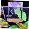 DOITOOL Acrylic Fish Feed Ring with Suction Cup view 2