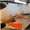 DOITOOL 3-Piece Cozy Reptile Bed, Warm Pet Mat for Small Animals view 3