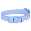 Newtensina Waterproof and Rustproof Pet Collar view 1