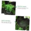 DOITOOL Resin Reptile Water Bowl for Turtles and Lizards view 4
