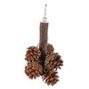 DOITOOL Hanging Bird Toy view 1