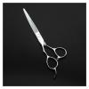RWRAPS Left-Handed 5.5/6-Inch Hair Thinning Shears, 6-Inch Set view 3