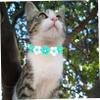 CORHAD Creative Adjustable Pet Collar with Floral Decoration for Dogs and Cats, Handmade from Soft Material view 2