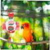Angoily Parrot Flight Suit with Adjustable Straps view 4