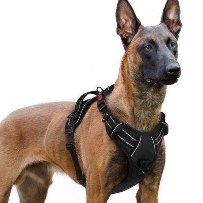 rabbitgoo Dog Harness for Large Dogs, Easy to Put On, XL, Black