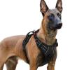 rabbitgoo Dog Harness for Large Dogs, Easy to Put On, XL, Black view 1