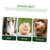 DOITOOL 3-Piece Woven Grass Straw Mats for Rabbits and Small Pets view 4