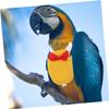 Housoutil Creative Bird Clothing for Parrots view 4