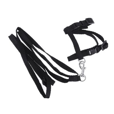 Angoily Cat Harness with Leash for Kittens