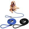 Cozlly 2-Pack Nylon Dog Leash view 1