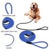 Cozlly 2-Pack Nylon Dog Leash view 3