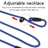 Cozlly 2-Pack Nylon Dog Leash view 4