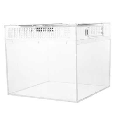 Small Acrylic Spider Breeding Box with Sliding Magnetic Closure