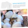 Angoily Reptile Incubator with Egg Slots view 2