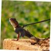 DOITOOL Reptile Leash for Bearded Dragons view 3