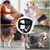 Reusable Dog Diapers for Females view 4