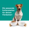 Emmi-pet Ceramic Bowls, Set of 2 view 3