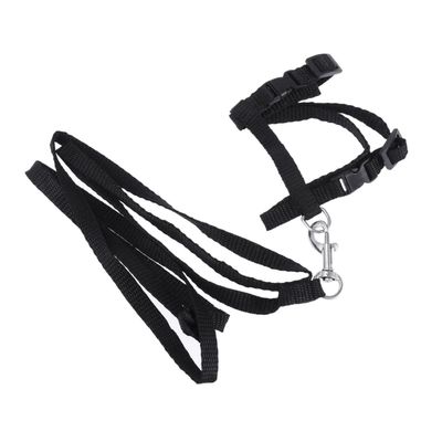 FOMIYES Cat Harness with Leash and Adjustable Nylon Collar