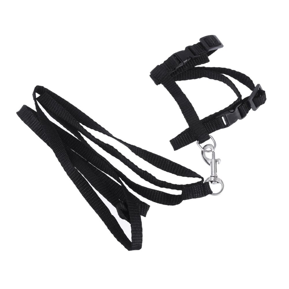 FOMIYES Cat Harness with Leash and Adjustable Nylon Collar