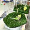 FlidRunest Large Bird Foraging Swing with Natural Grass Hammock view 2