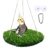FlidRunest Large Bird Foraging Swing with Natural Grass Hammock view 3