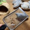 MONOJLY Reptile Sand Scoop view 4
