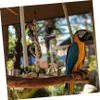 DOITOOL Parrot Stand Board view 2