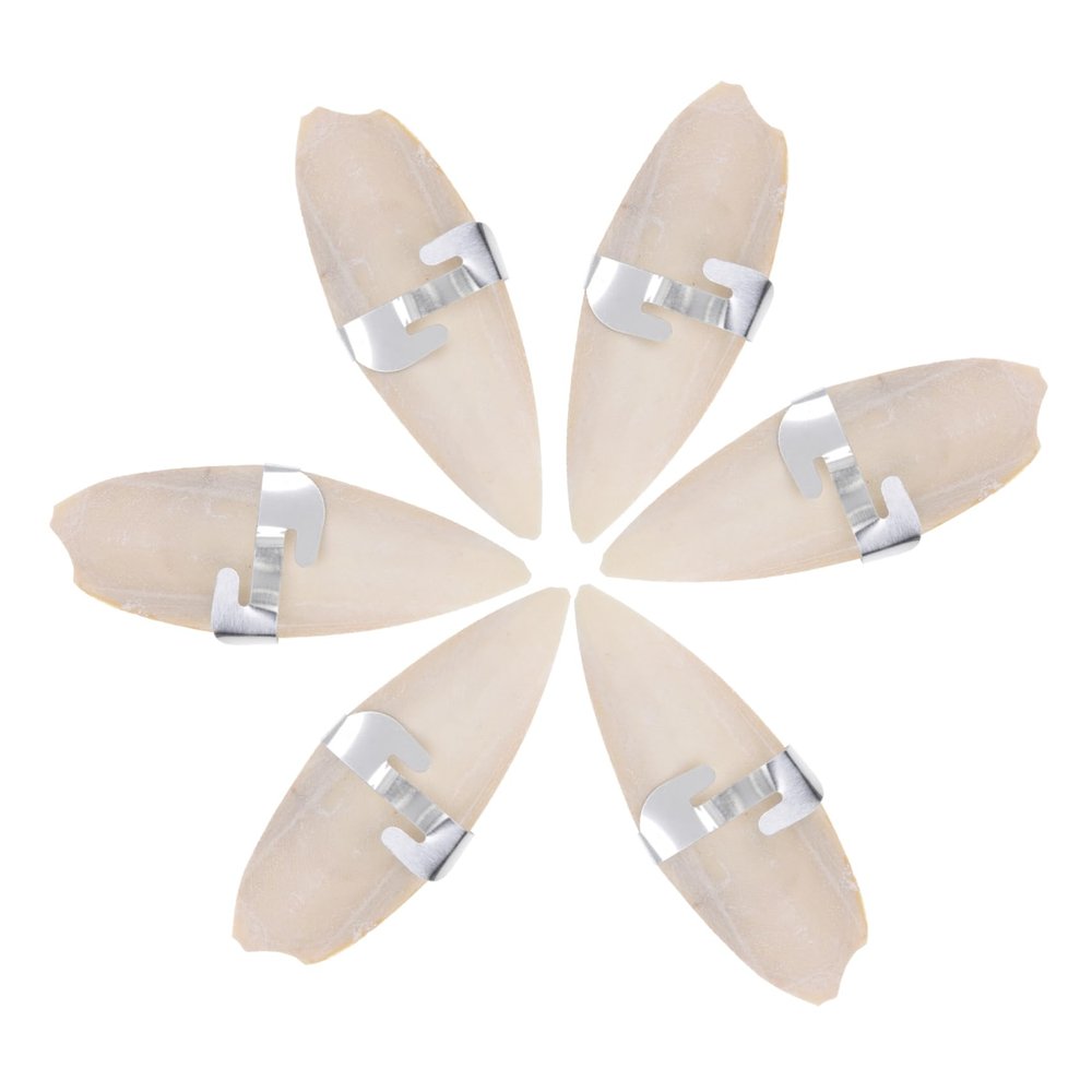 Housoutil Cuttlebone Chew Toys, 6 Pieces with Metal Holders