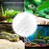 Shrimp Breeding Tube - Transparent Acrylic view 2