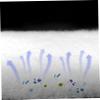 DOITOOL 5-Piece Thickened Biochemical Pad for Aquariums view 2